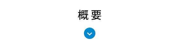 概要